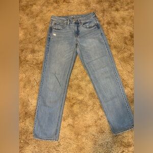 American Eagle 90s Low Rise Straight Jeans